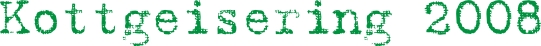 Kottgeisering 2008