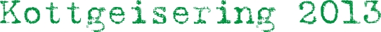 Kottgeisering 2013
